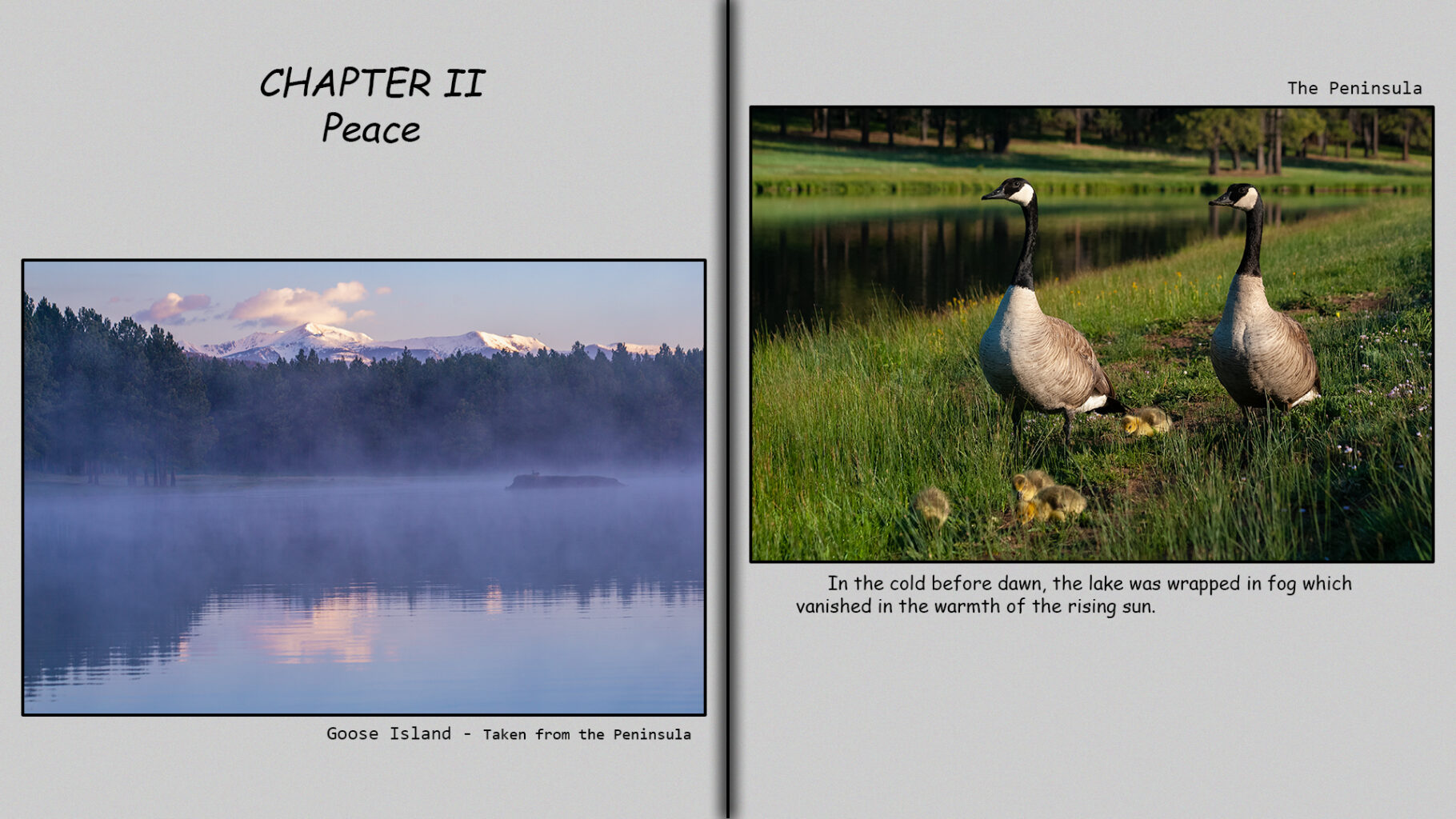 Pre-dawn fog envelopes a mountain lake.