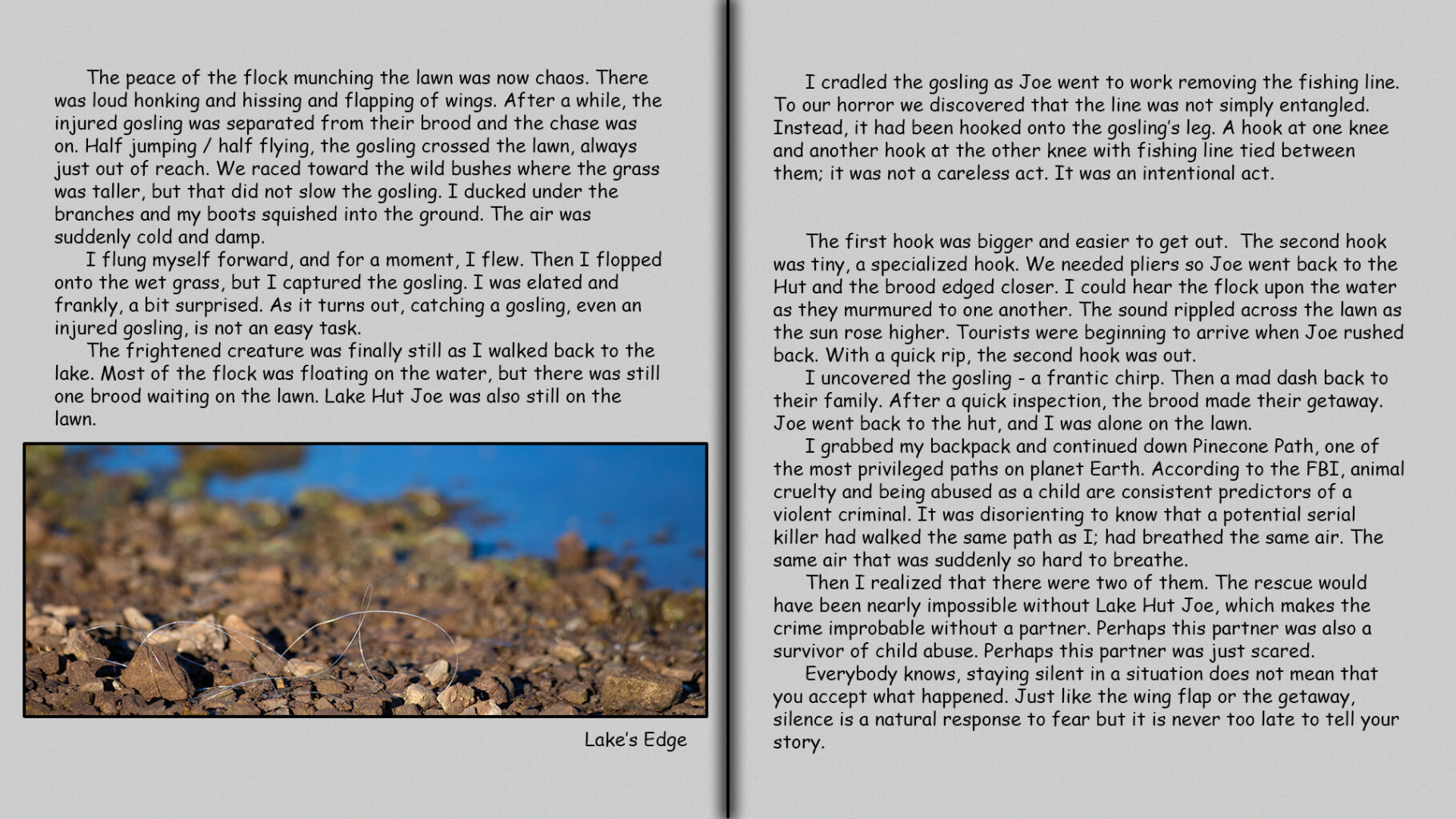 Fishing line at the lake's edge.