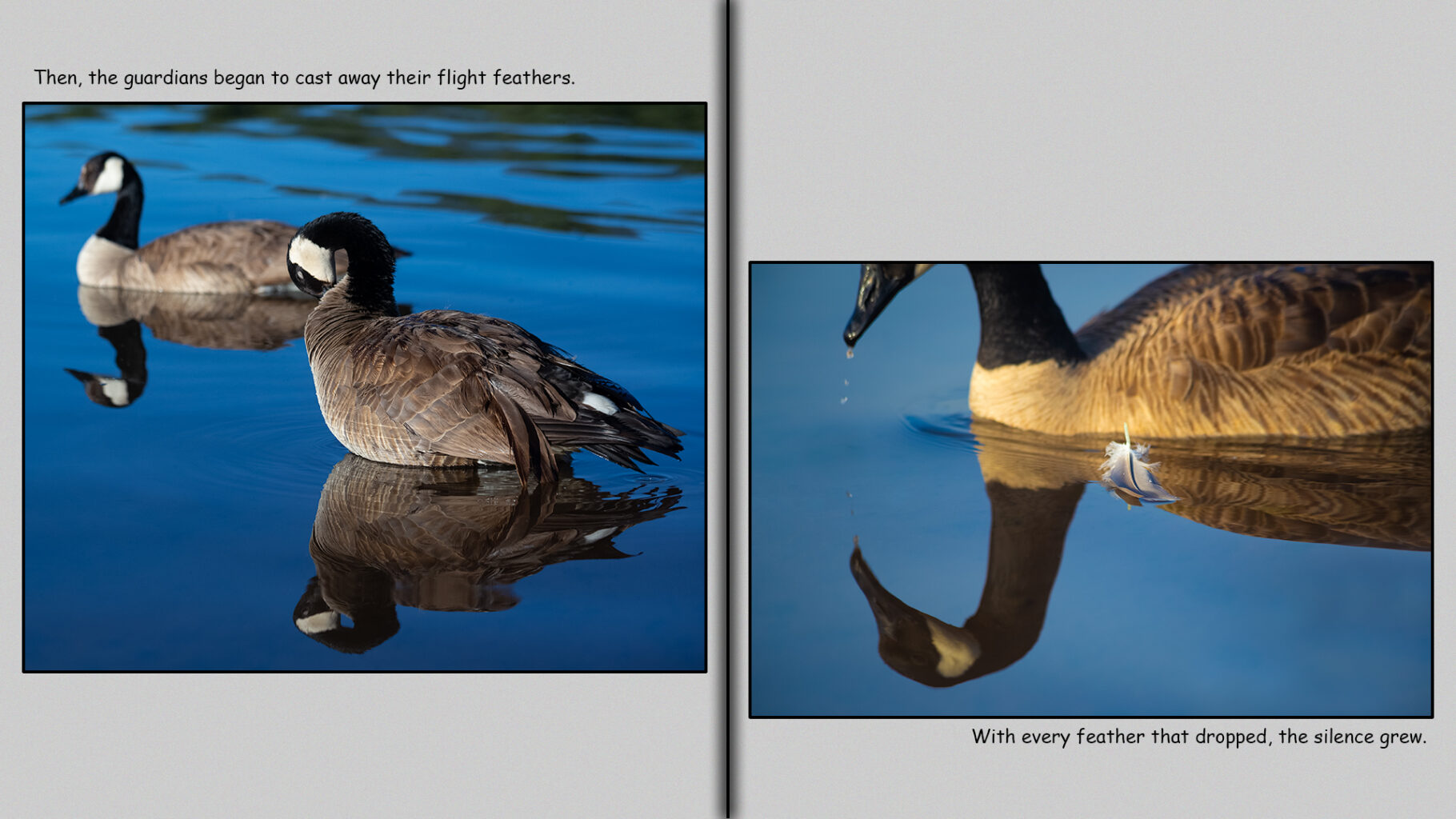 Then, the guardians began to cast away their flight feathers.