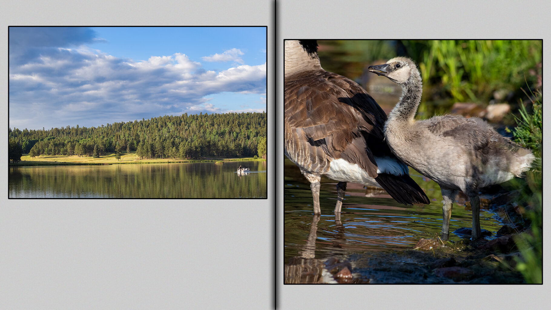 The Approaching Storm