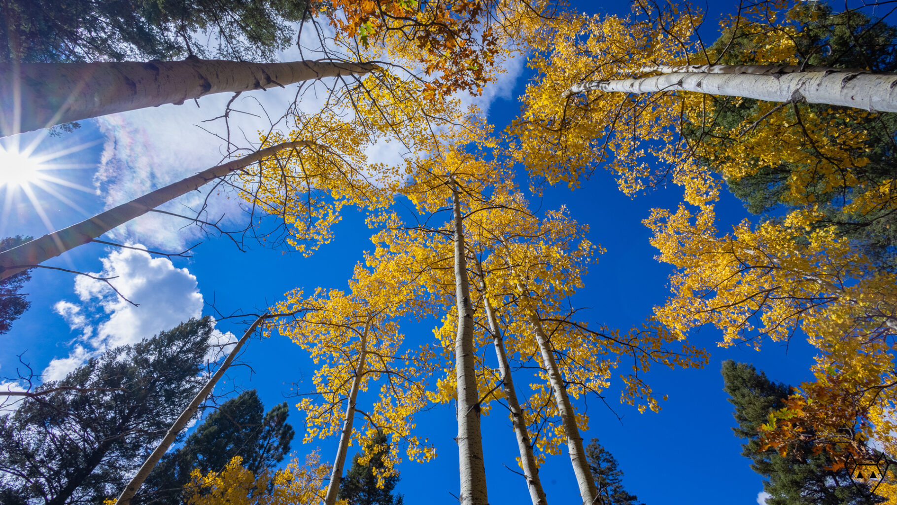 The sun is already low on the horizon. Winter will be here soon.
