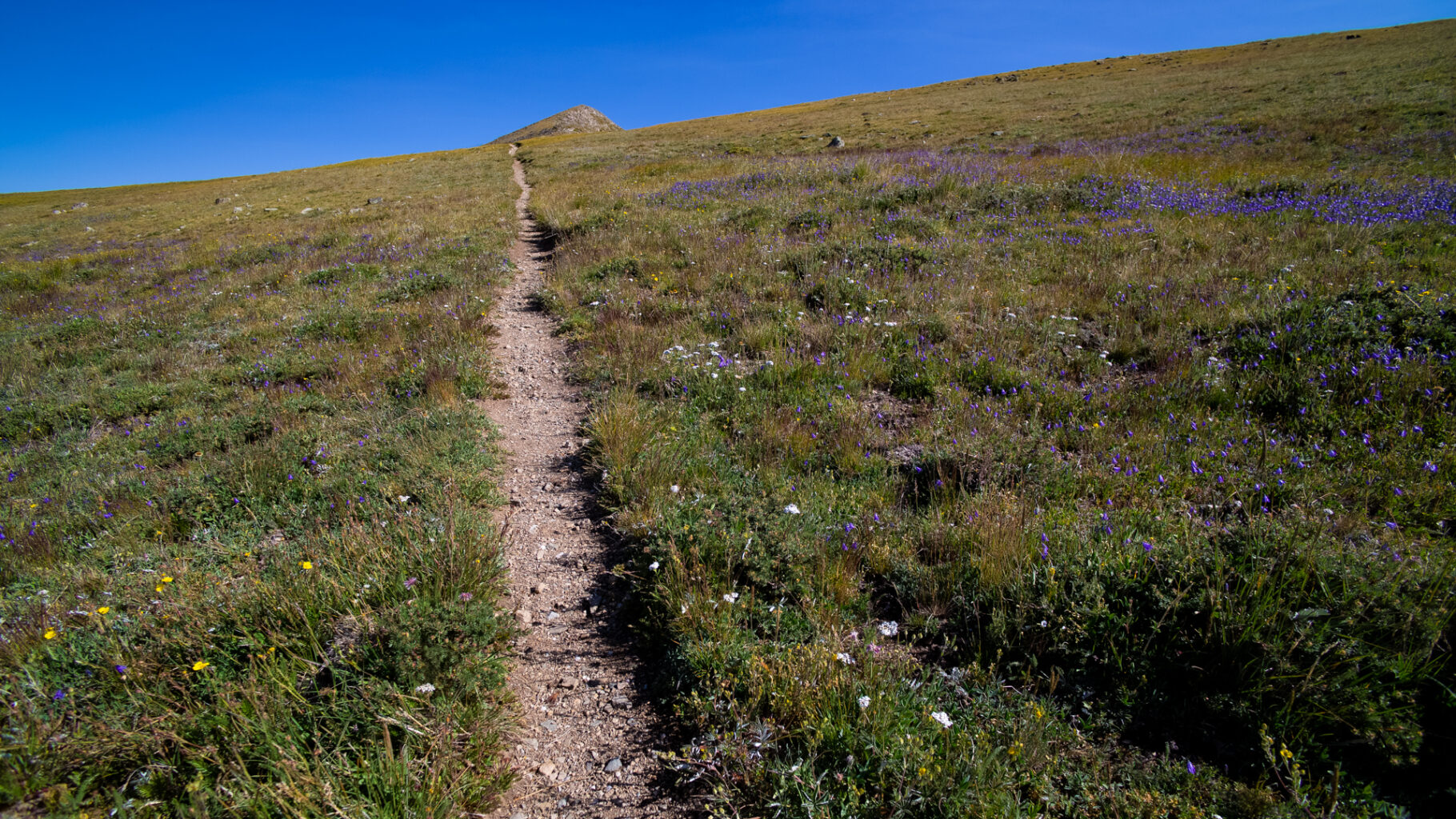 A very straight trail