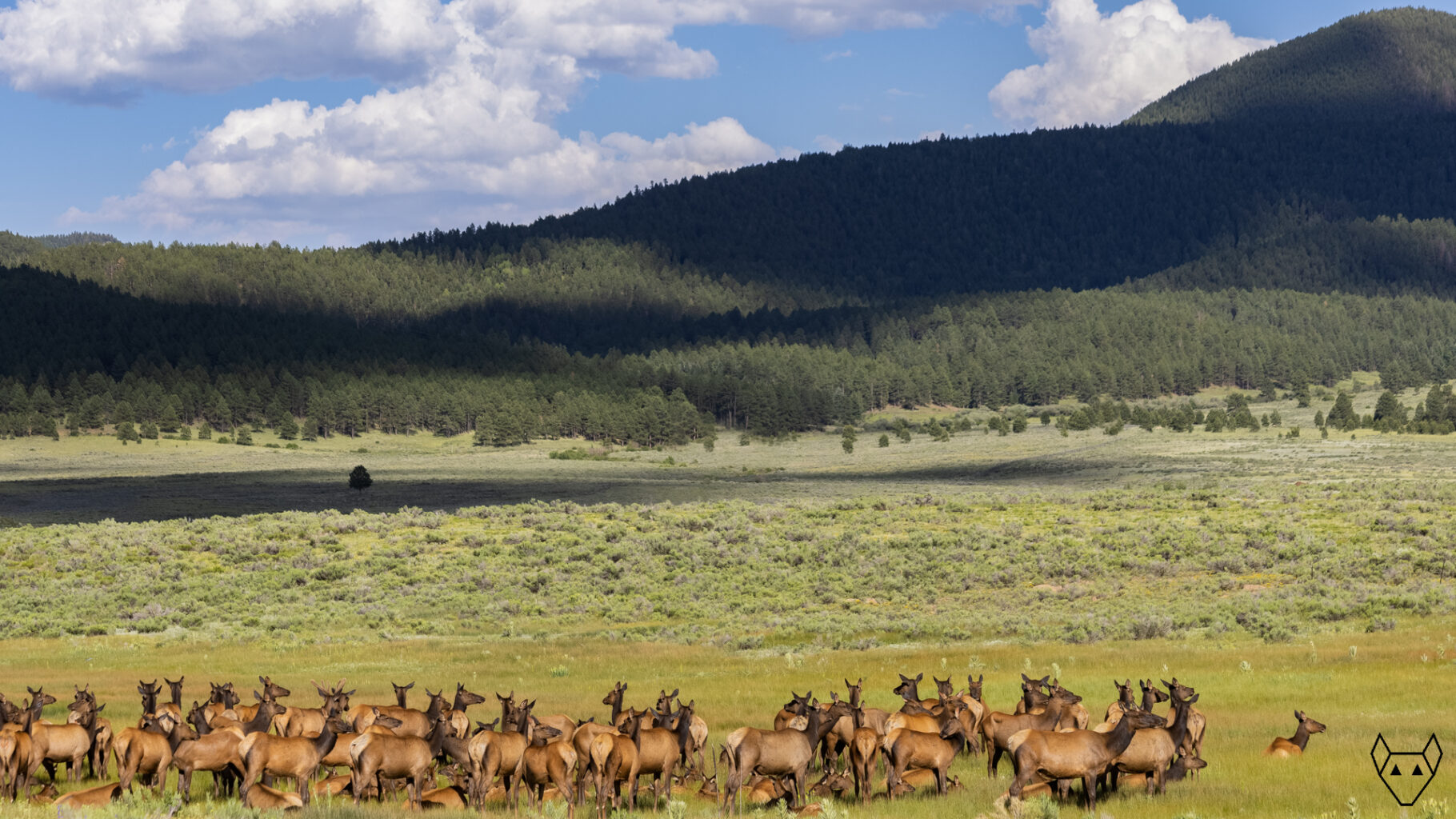 A rainbow on our journey back from Peru.