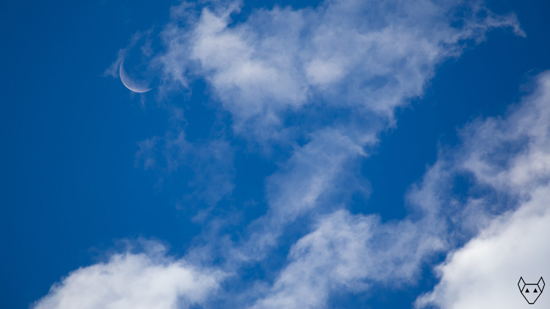 Waning Crescent Moon