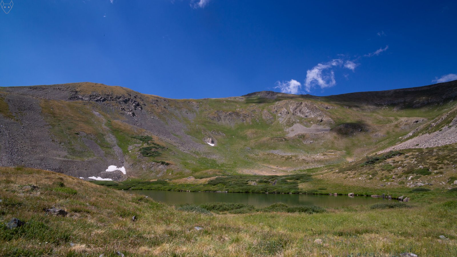 West Inlet of Horseshoe Lake lies still beneath a wide bowl of green alpine slopes, gray scree, rocky ridges, and lingering snow patches. Low shrubs and grasses fill the foreground under a vast, saturated blue sky with a few wispy clouds.
