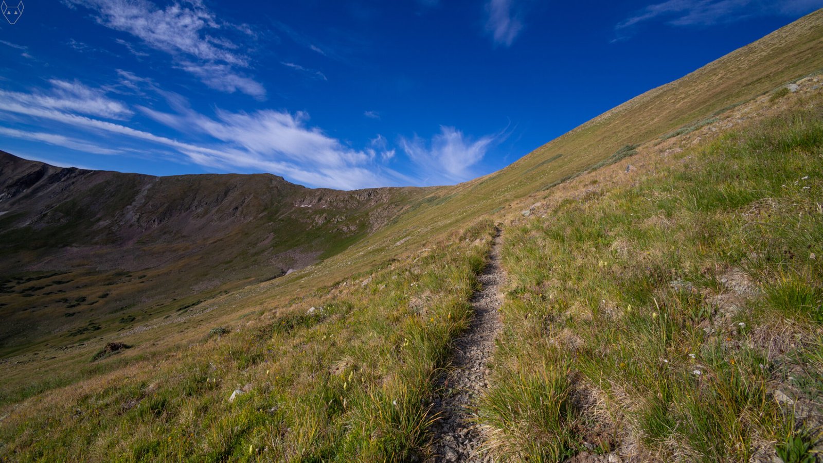 A narrow rocky trail cuts across a steep alpine slope of grasses, small wildflowers, and scattered stones. Dark ridges drop away to the left while a rounded green mountain rises on the right beneath a vivid blue sky and wispy clouds.
