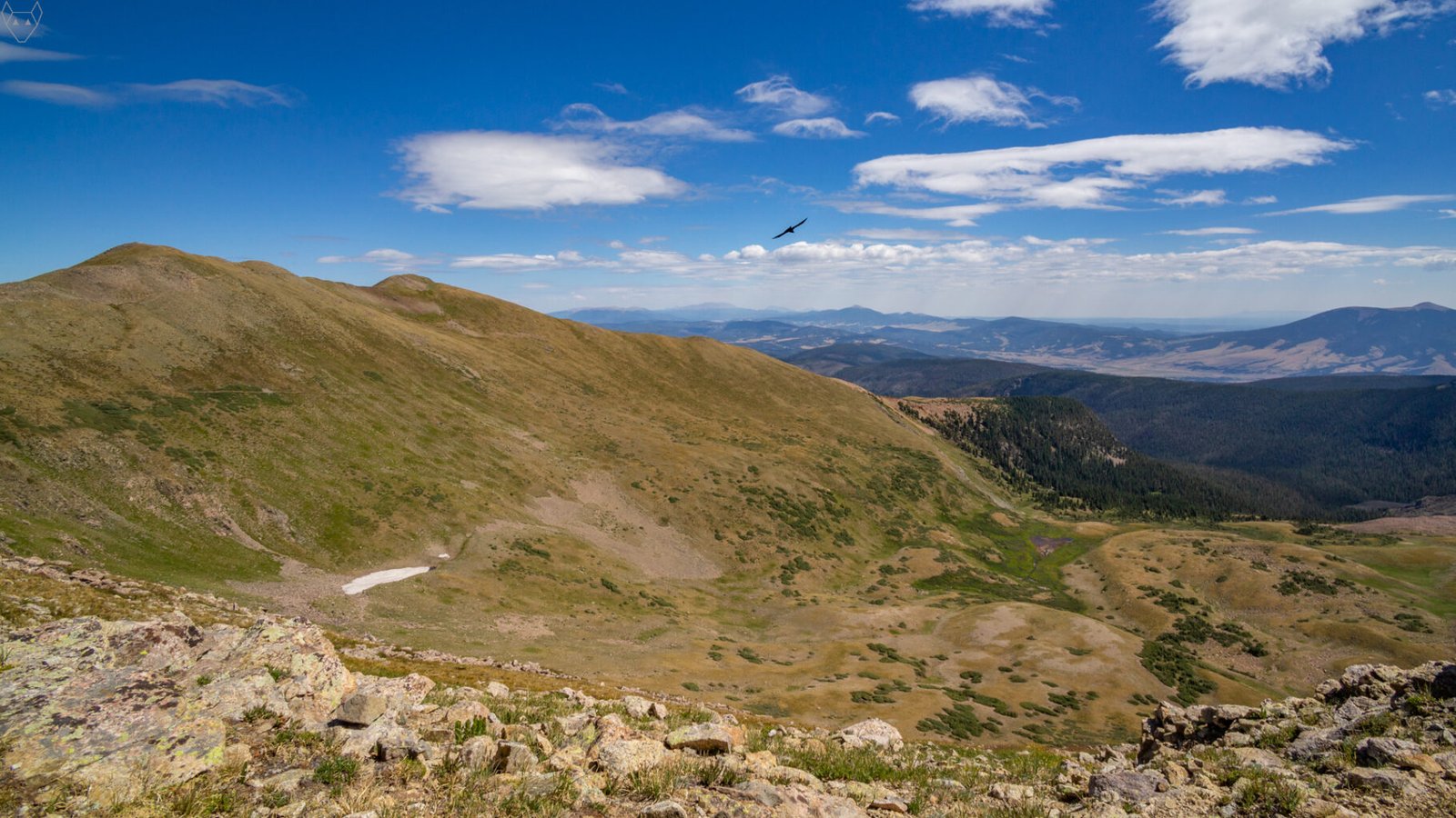 A bird gliding over a vast alpine basin that spreads below a rocky ridge under a deep blue sky filled with white wind-stretched clouds. Brown-green tundra slopes roll toward a dark conifer forest and distant mountains.