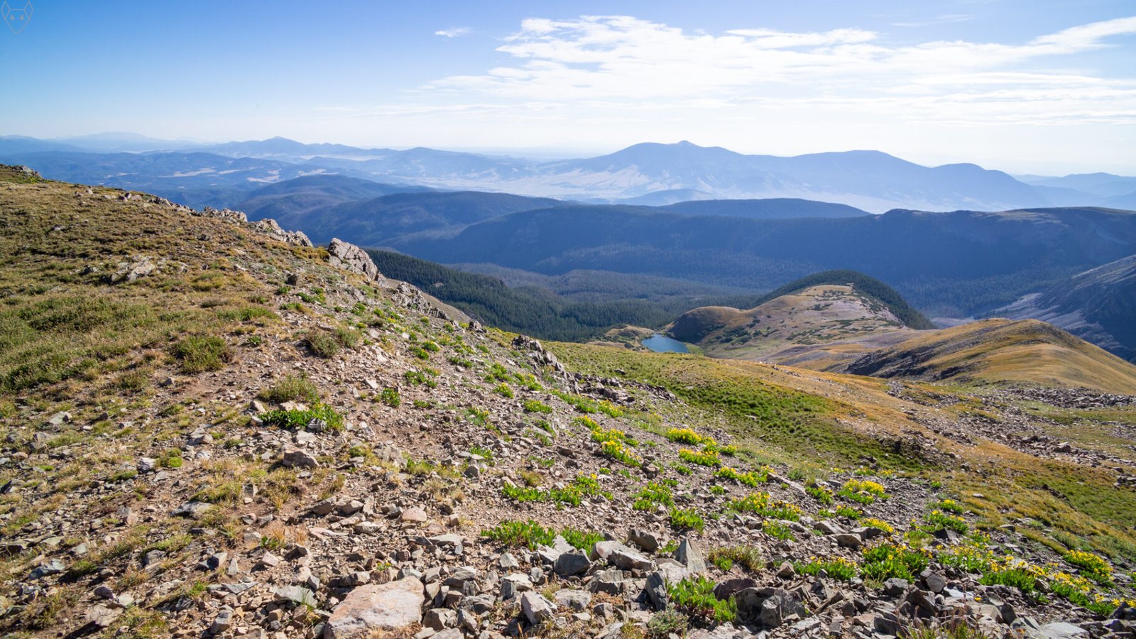 From a high rocky slope, yellow alpine wildflowers bloom among loose stones above a Horseshoe Lake. A dark forest, distant valleys, and hazy blue mountains stretch beneath a bright sky streaked with white cloud.