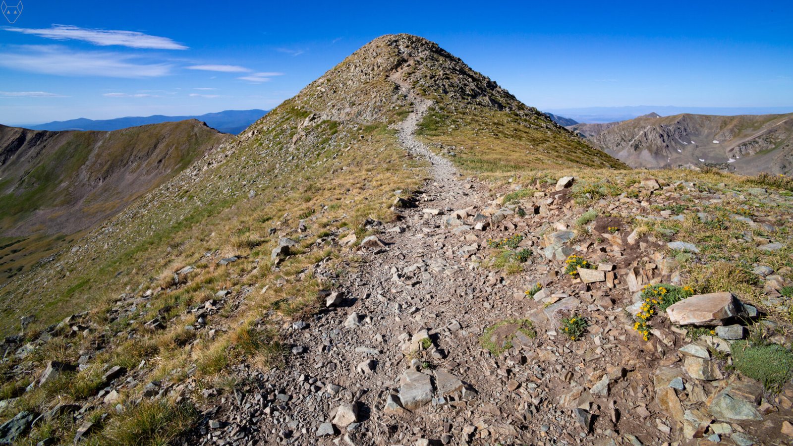 A narrow rocky trail zigzags toward the highest peak in New Mexico: a rounded summit of broken stone and sparse alpine grass. Yellow wildflowers bloom beside the path. In the distance steep gray ridges with isolated snow patches endure beneath the blue sky.