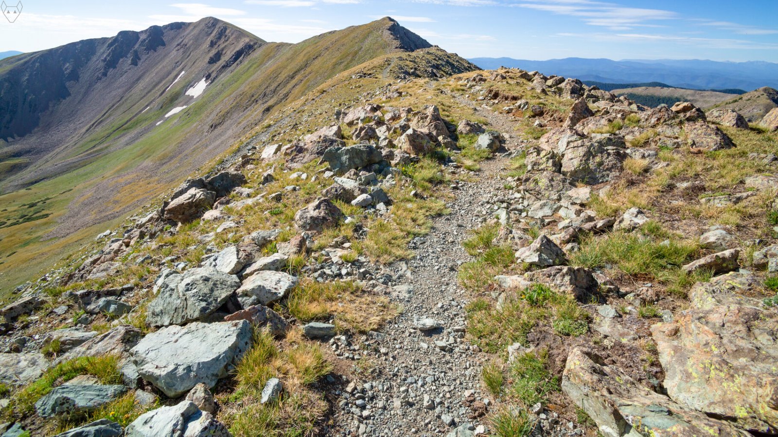 A narrow gravel trail fades into the distant alpine ridge. Boulders and loose scree are taking over. Nonetheless, there are small grasses and even some yellow wildflowers that continue to flourish here at the top of our world.