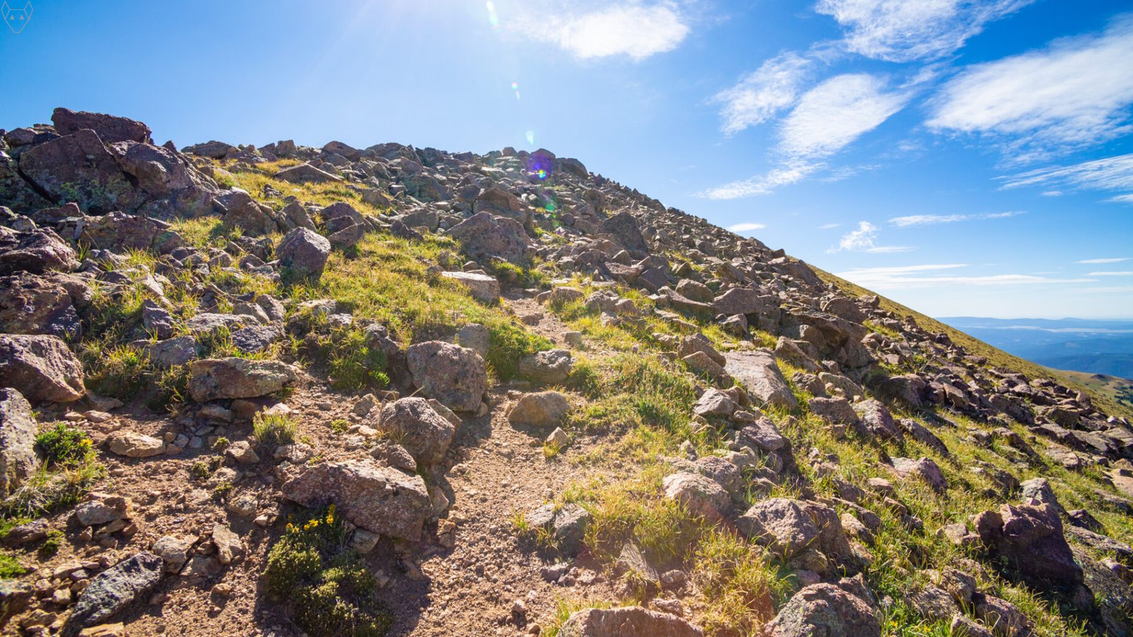 A steep sunlit slope of loose alpine rock rises toward wispy clouds in a bright blue sky. Small grasses and tiny yellow wildflowers grow between the stones, with bright lens flare spilling down from the high sun.