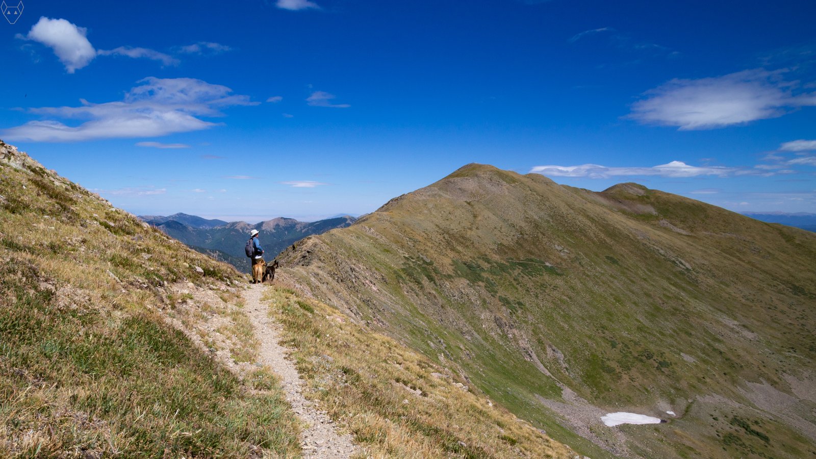 A hiker and two dogs pause on a narrow alpine trail cut across a steep grassy slope. A broad rounded peak fills the right side of the view, while distant mountain ridges, a small snow patch, and bright clouds sit under a deep blue sky.