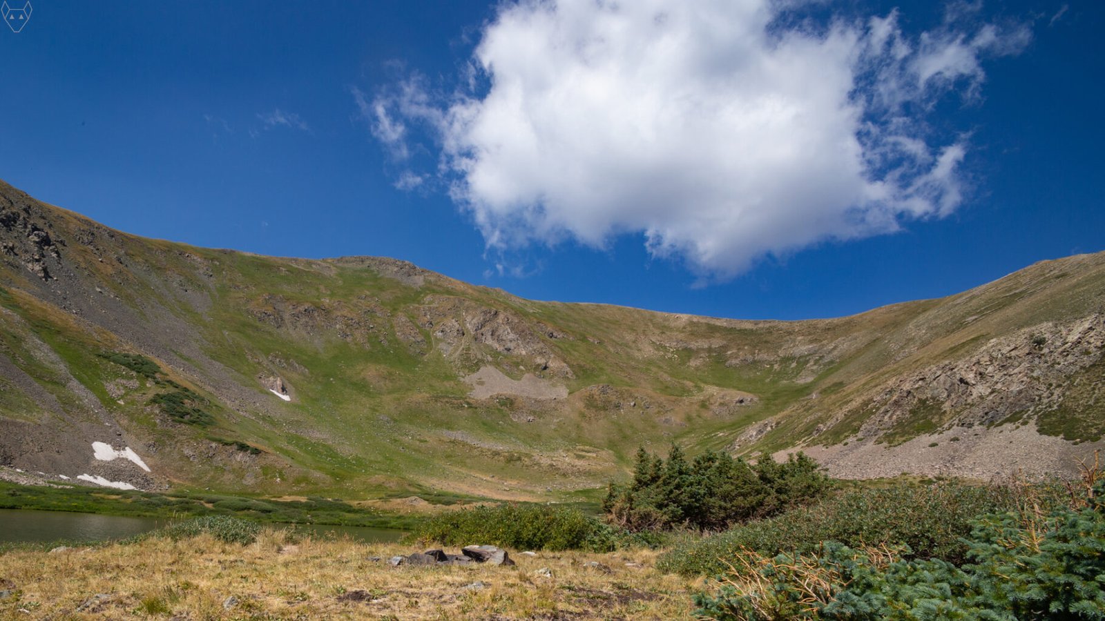 Low, dense krummholz conifers fill the foreground below a large white cloud. Behind them, steep green and gray slopes curve around Horseshoe Lake, with patches of scree and lingering snow.
