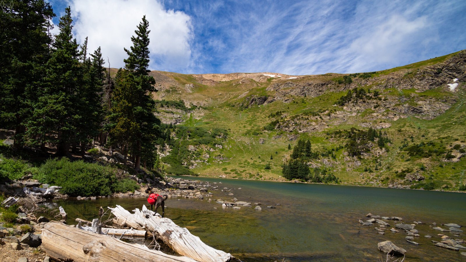 A dog wearing a bright red pack stands on a pale fallen log at the edge of Lost Lake. Clear shallow water, scattered rocks, dark conifers, green alpine slopes, and small snow patches rise behind them under a streaked blue sky.