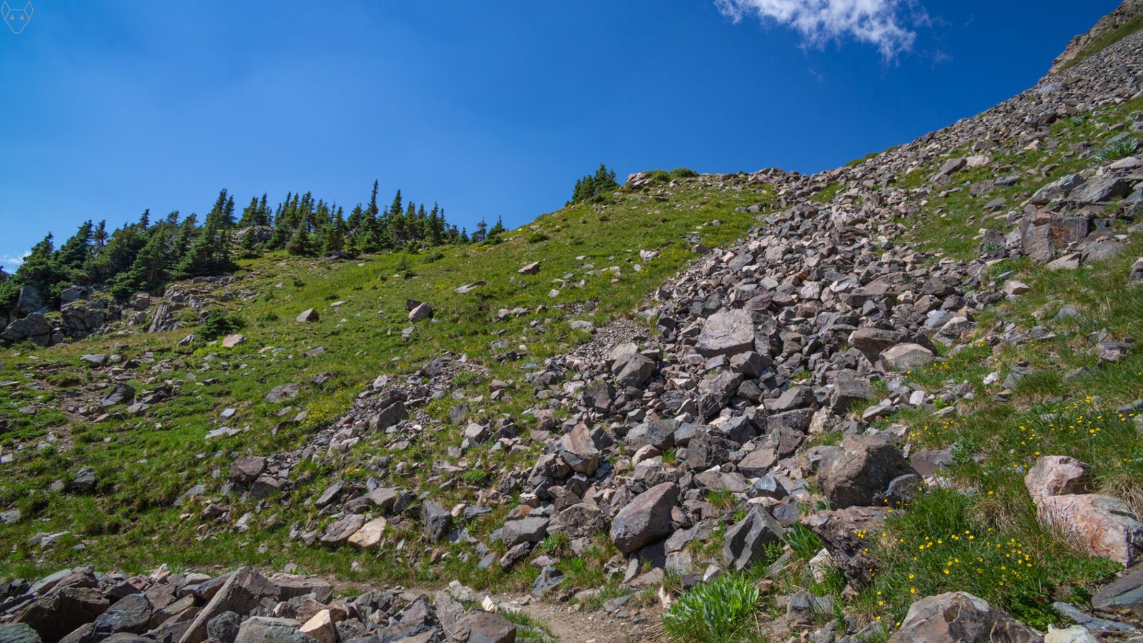 A steep alpine slope rises under a vivid blue sky, with a trail cutting through loose gray scree and green patches of grass. Dark conifers cling to the left ridge while yellow wildflowers dot the rocky ground.