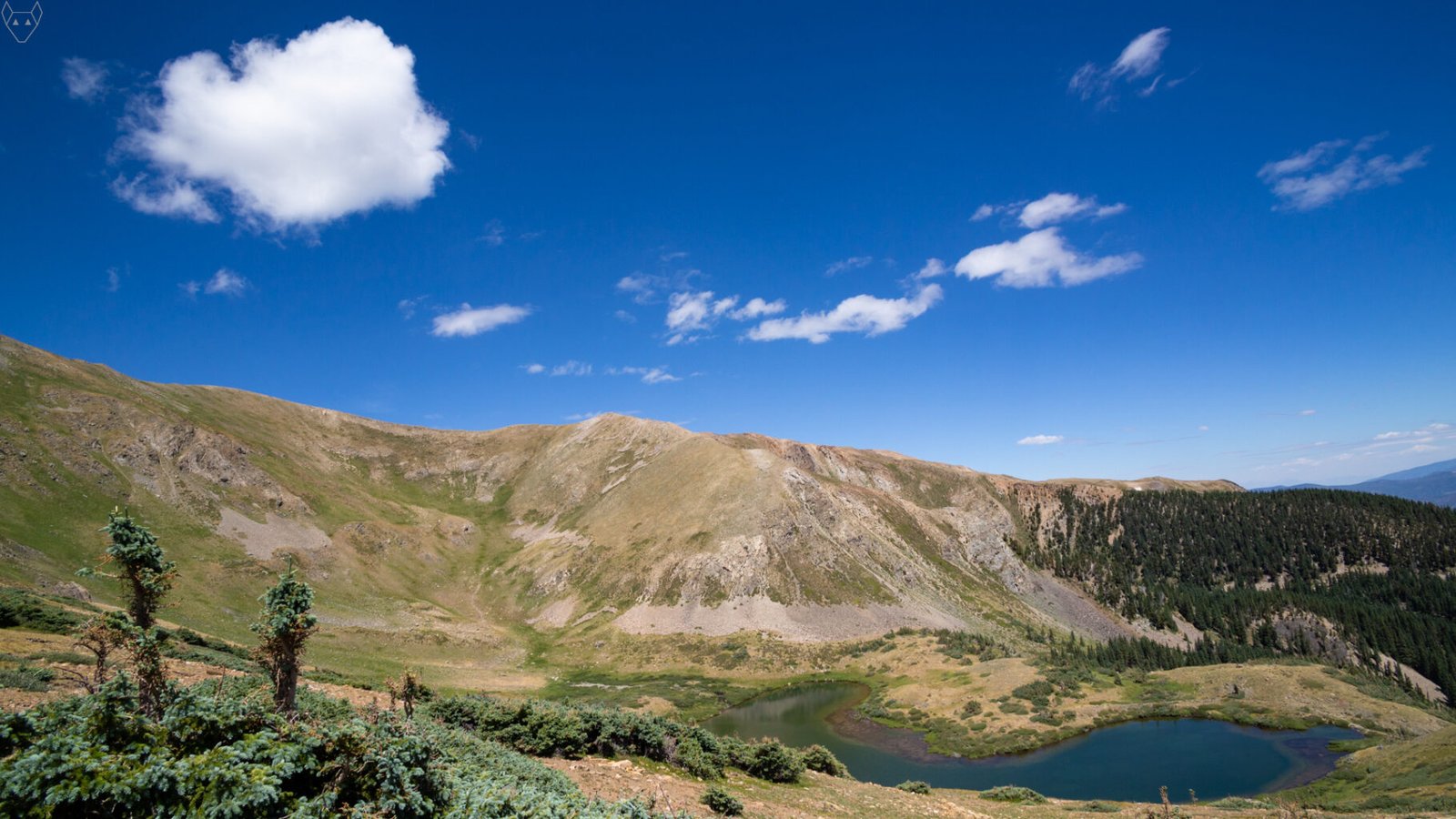 From above, Horseshoe Lake curves around a small green and yellow peninsula below pale alpine ridges. Krummholz conifers fill the foreground, as the land flows downward.